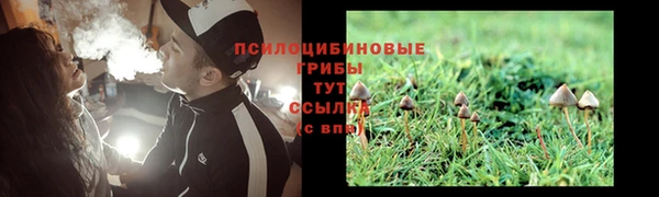 ECSTASY Гусиноозёрск