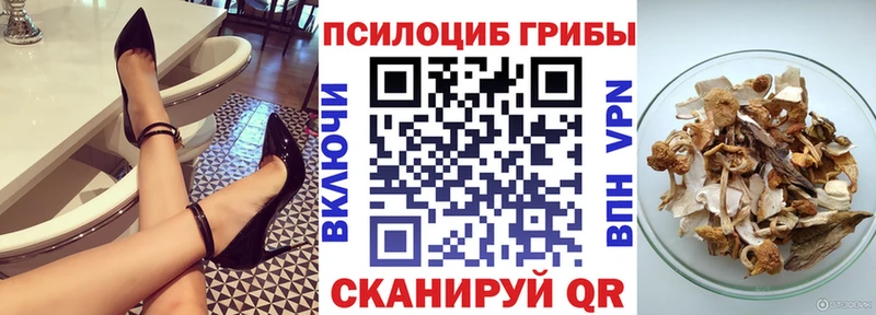 блэк спрут ссылки  Тотьма  Галлюциногенные грибы Cubensis 